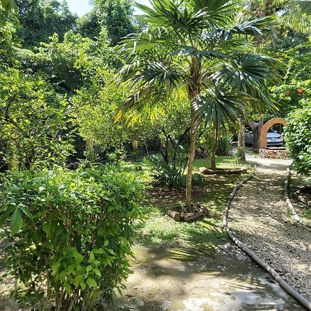 Mini Pini Bird Watching And Cenote Loft Villa Cozumel Exterior foto