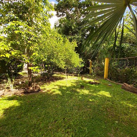 Mini Pini Bird Watching And Cenote Loft Villa Cozumel Exterior foto