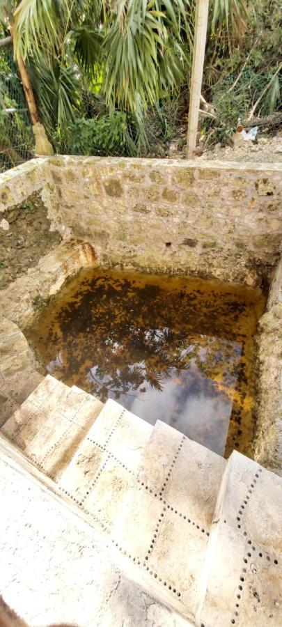 Mini Pini Bird Watching And Cenote Loft Villa Cozumel Exterior foto