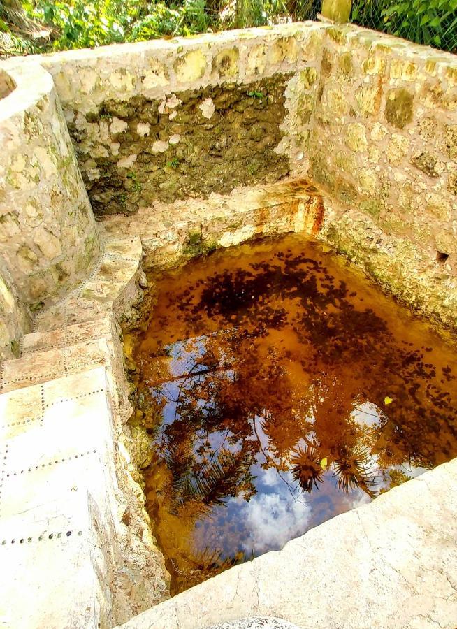Mini Pini Bird Watching And Cenote Loft Villa Cozumel Exterior foto