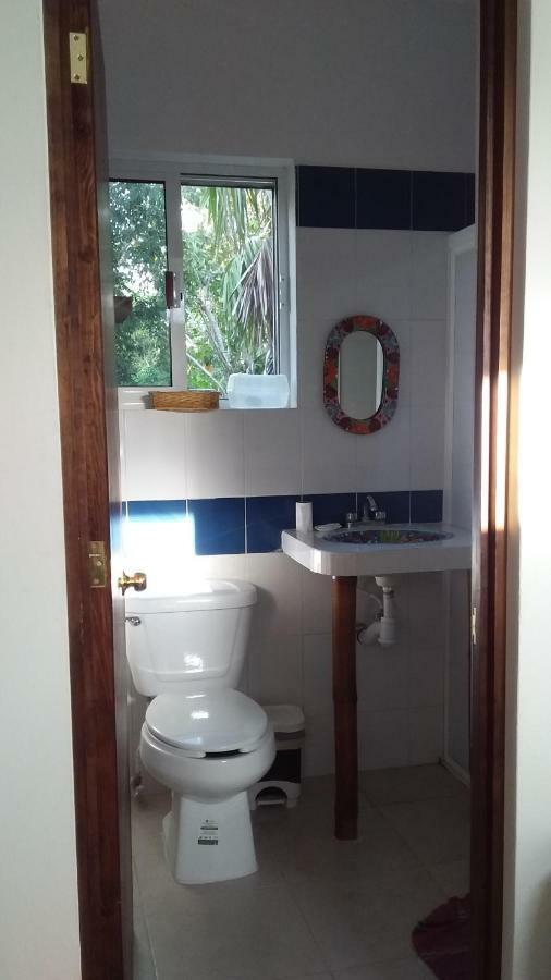 Mini Pini Bird Watching And Cenote Loft Villa Cozumel Exterior foto