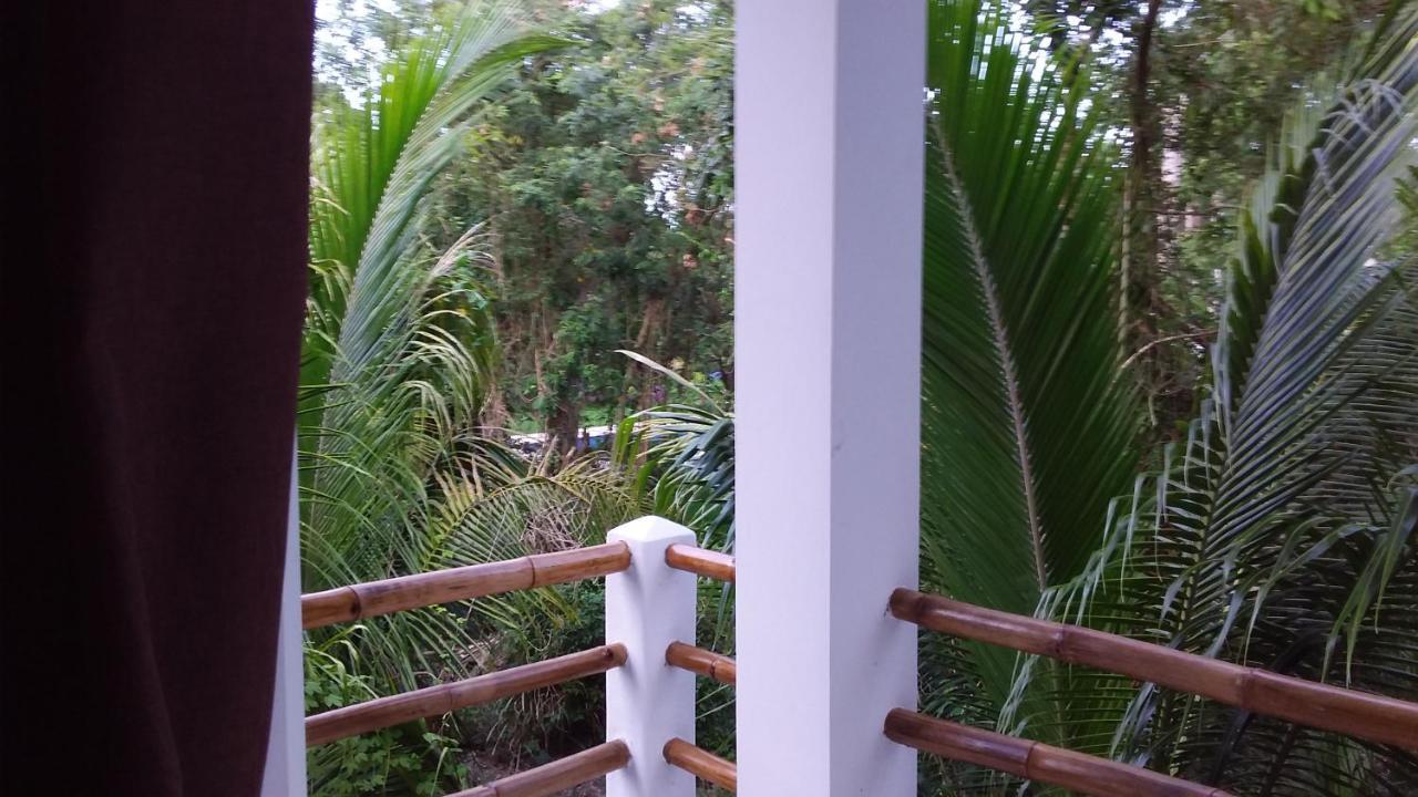 Mini Pini Bird Watching And Cenote Loft Villa Cozumel Exterior foto