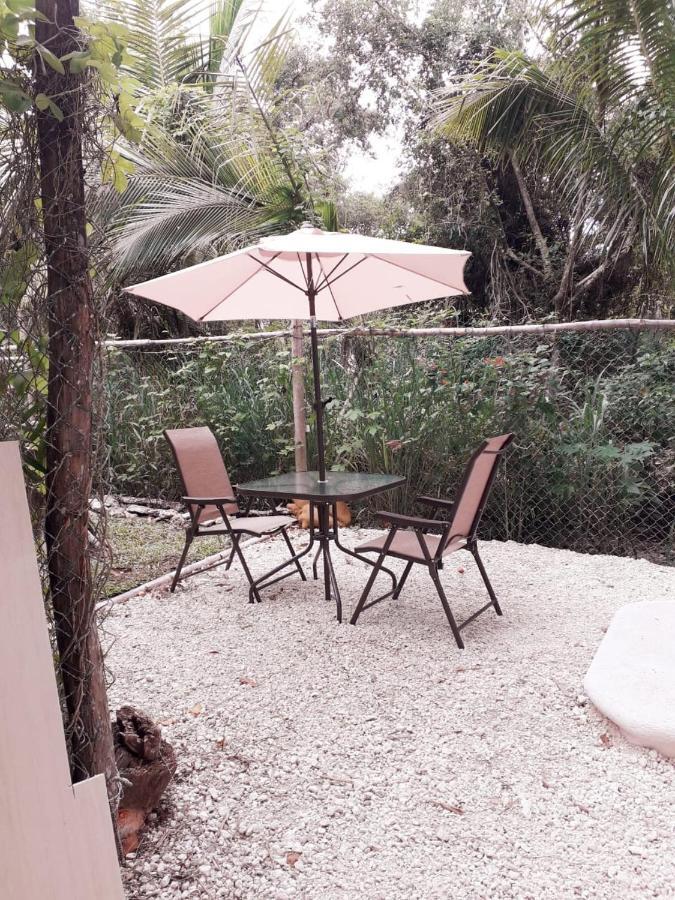 Mini Pini Bird Watching And Cenote Loft Villa Cozumel Exterior foto