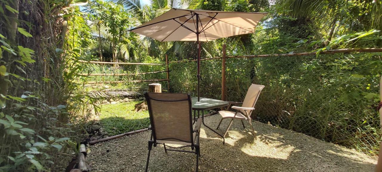Mini Pini Bird Watching And Cenote Loft Villa Cozumel Exterior foto
