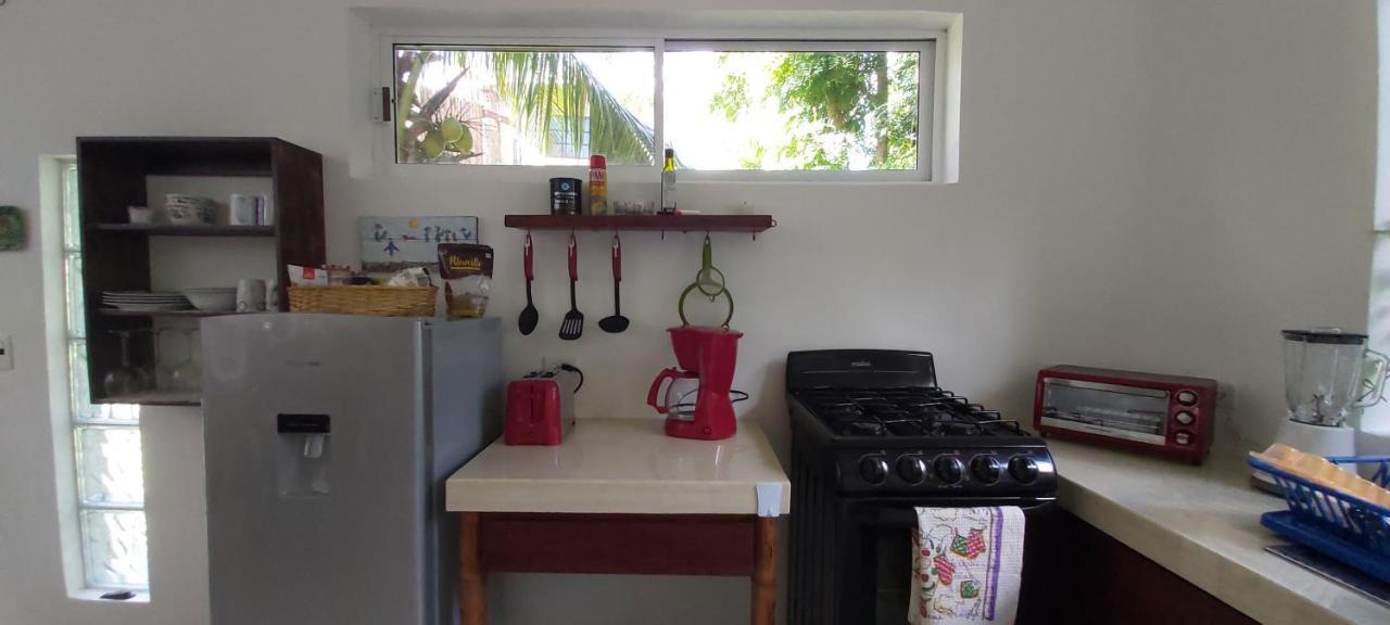 Mini Pini Bird Watching And Cenote Loft Villa Cozumel Exterior foto