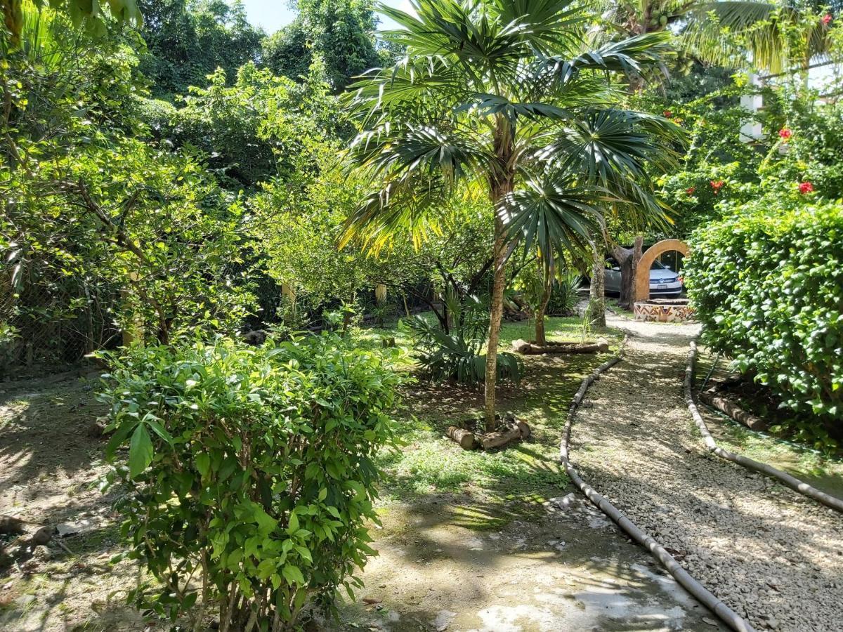 Mini Pini Bird Watching And Cenote Loft Villa Cozumel Exterior foto