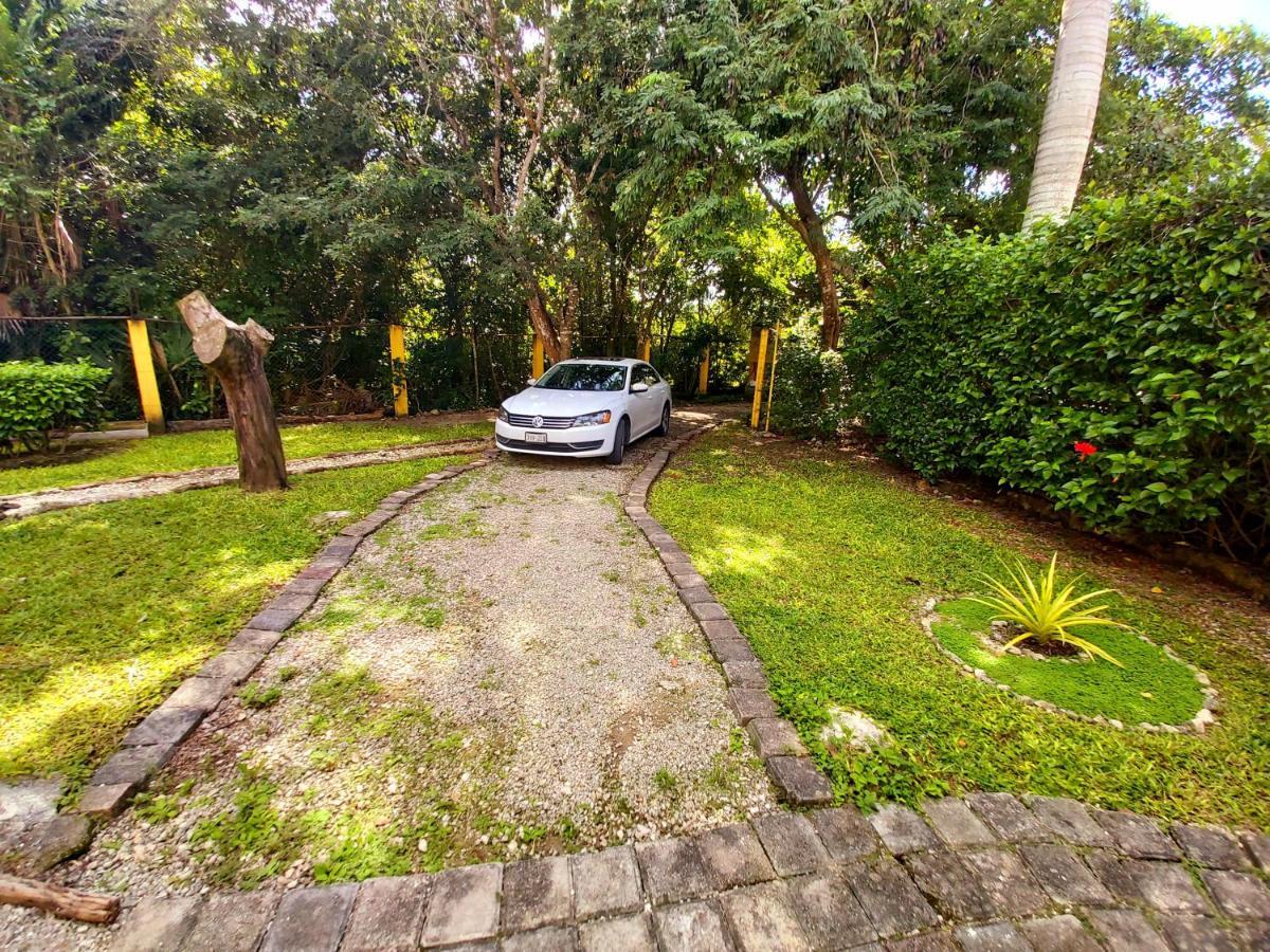 Mini Pini Bird Watching And Cenote Loft Villa Cozumel Exterior foto